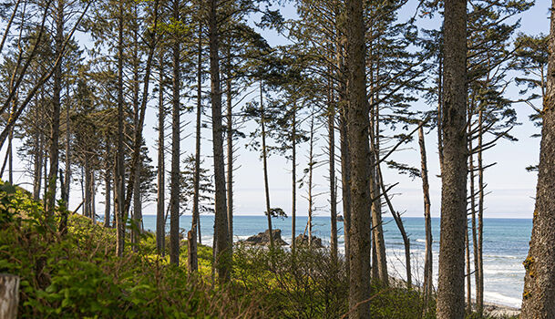 Olympic National Park